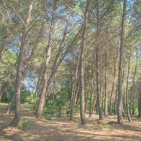 4 Da Letto - Trulli Con Camino, Foresta E Bbq *